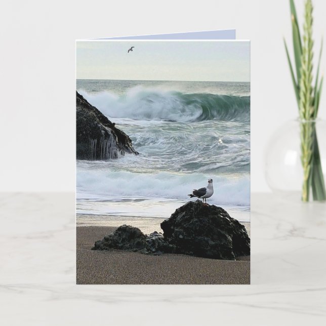 Carte Mouette au bord de la mer (Devant)