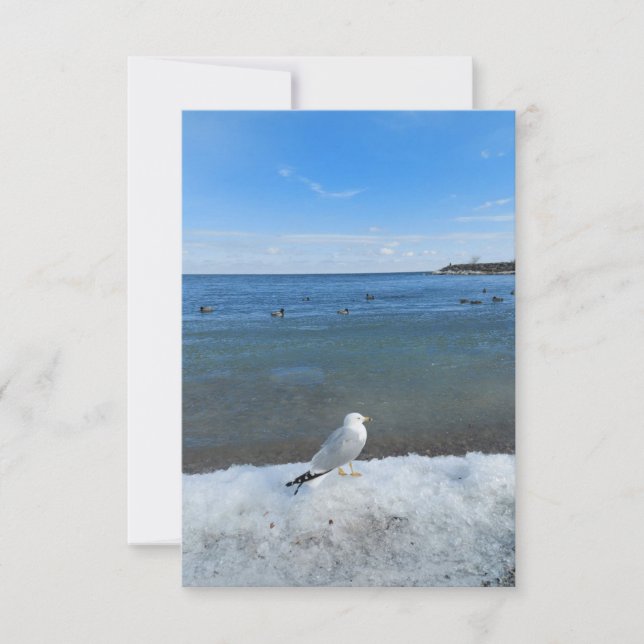 Carte Mouette au lac en hiver (Devant)