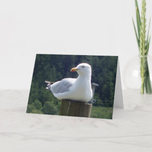 Carte Mouette sur un Poteau de Clôture de Jardin Art de