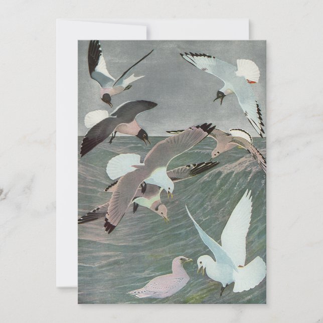 Carte Mouettes au-dessus des vagues océaniques par Louis (Devant)