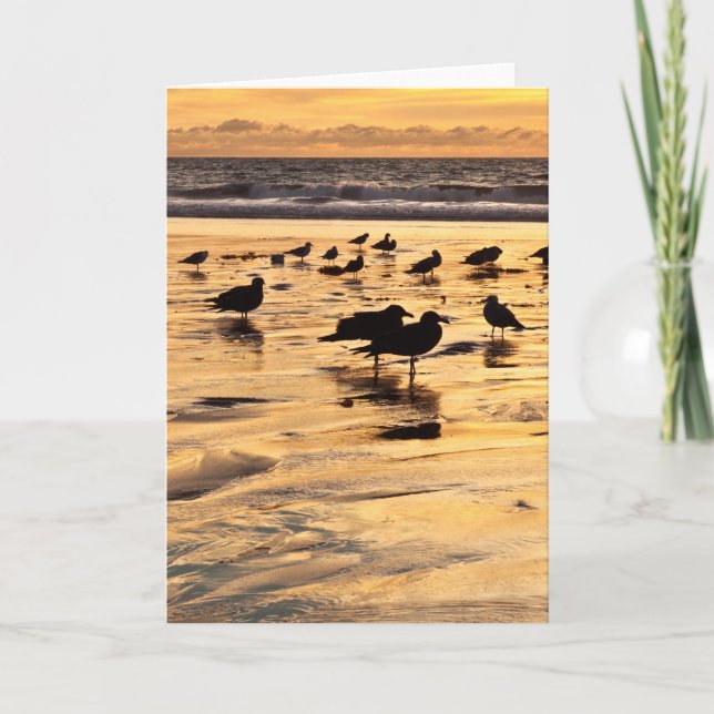 Carte Mouettes Sur La Plage Au Coucher Du Soleil (Devant)