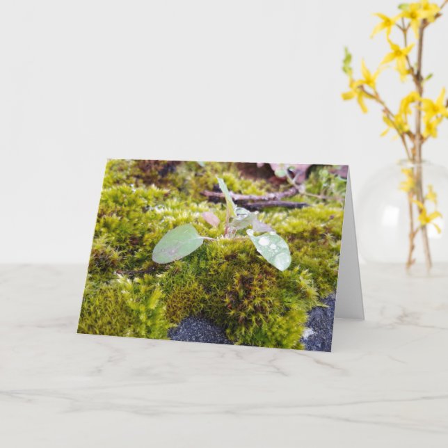 Carte Mousses avec de minuscules Fleurs, Éveil de printe (Fleur jaune)