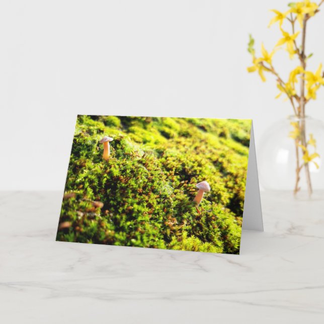 Carte Mousses et lichens avec de minuscules champignons (Fleur jaune)