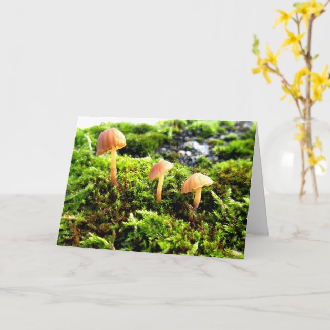 Carte Mousses et lichens avec de minuscules champignons (Fleur jaune)