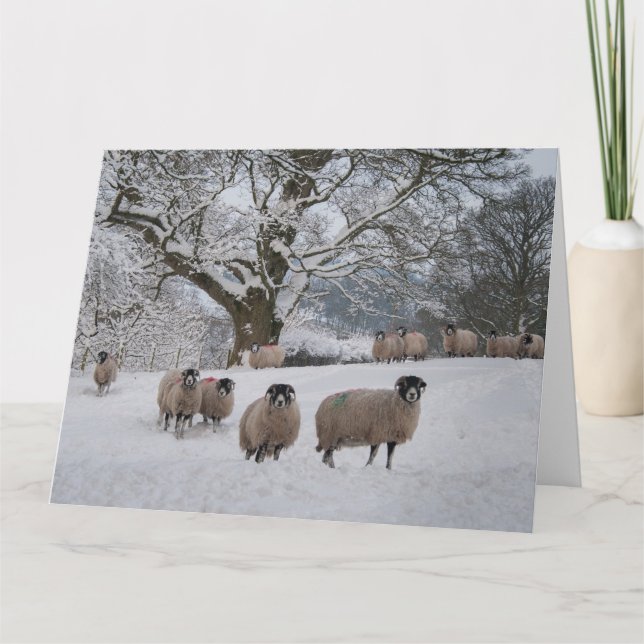 Carte Mouton dans la neige (Devant)