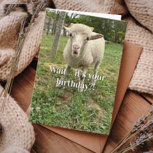 Carte Mouton drôle d'anniversaire Surprise visage Ferme