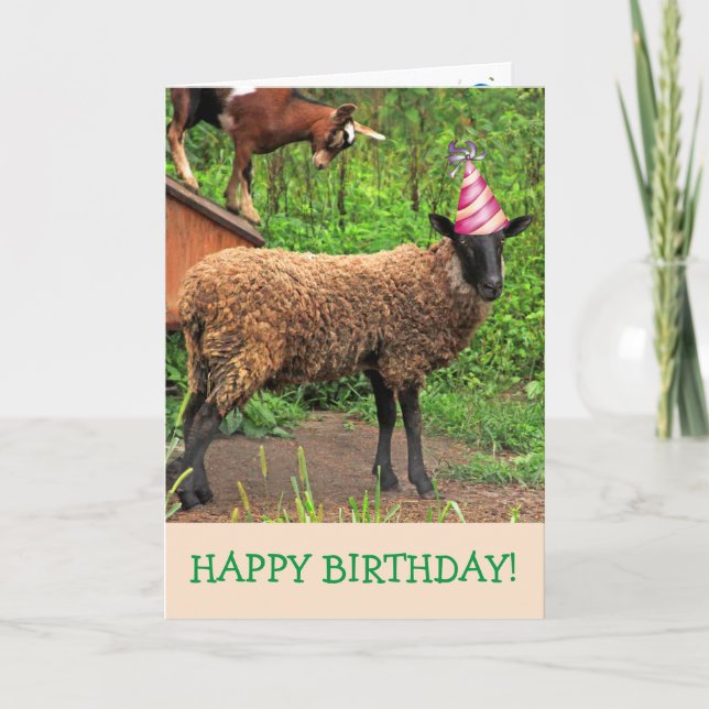 Carte Mouton et chèvre amusants Anniversaire (Devant)