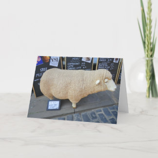 Carte Moutons de rue