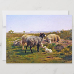 Carte Moutons et agneau dans la nature (par Rosa Bonheur