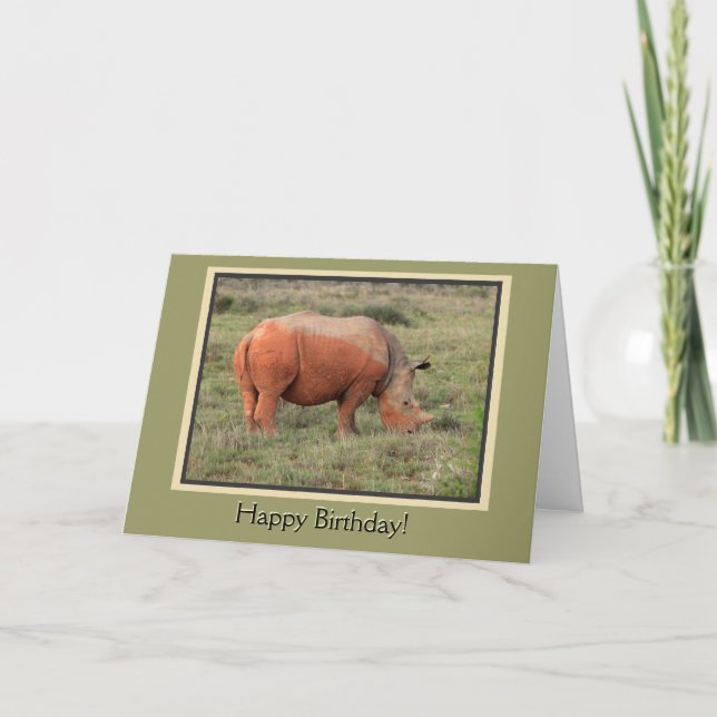 Carte Muddy Rhino Joyeux anniversaire (Devant)