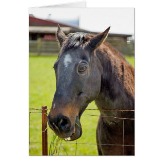 Carte muette de cheval