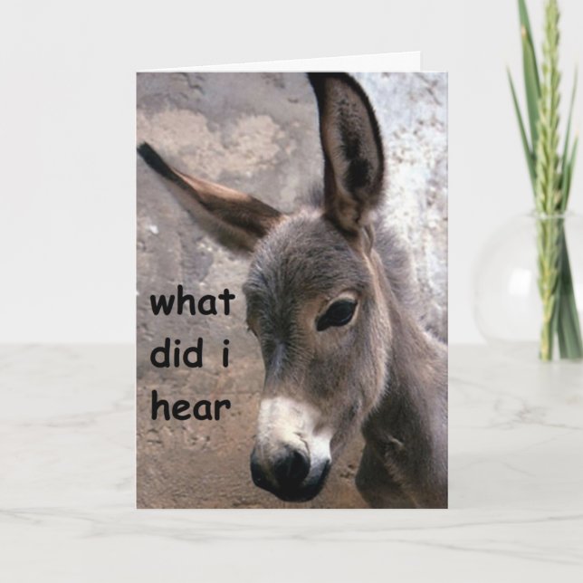 Carte MULE-ISH 50e HUMOUR D'ANNIVERSAIRE ADULTE (Devant)