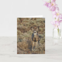 Muley in the Sage - 4" x 5.6" Notecard