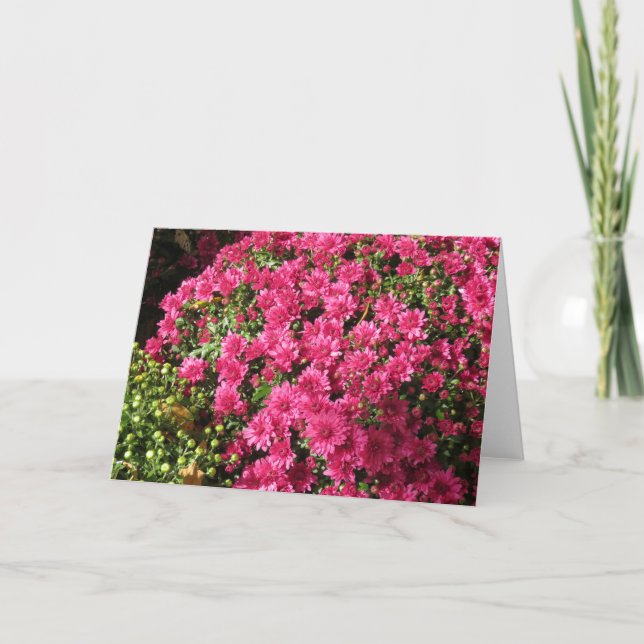 Carte Mums Rose Foncé  (Devant)