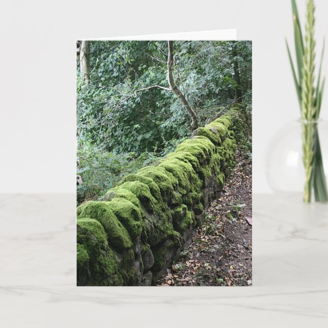 Carte Mur de pierres sèches couvert dans la mousse (Devant)