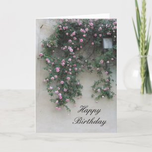 Carte Mur de roses roses