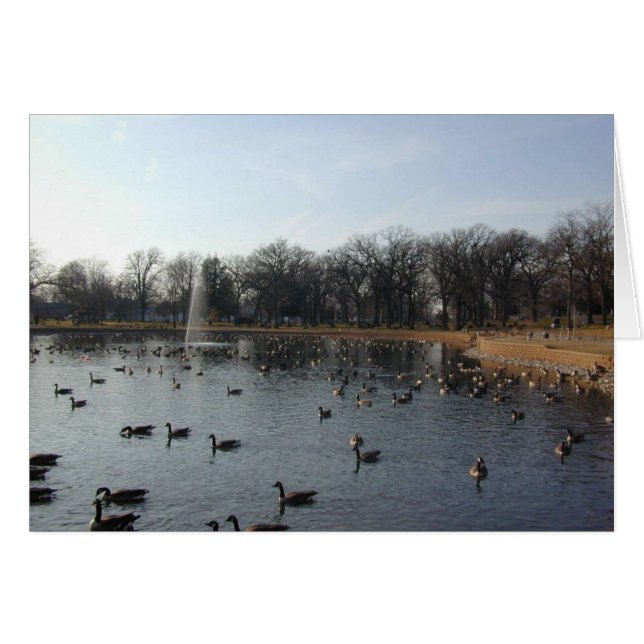 Carte murale d'oie (Devant horizontal)