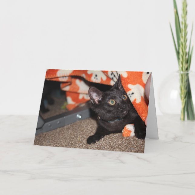 Carte Murphy (Devant)