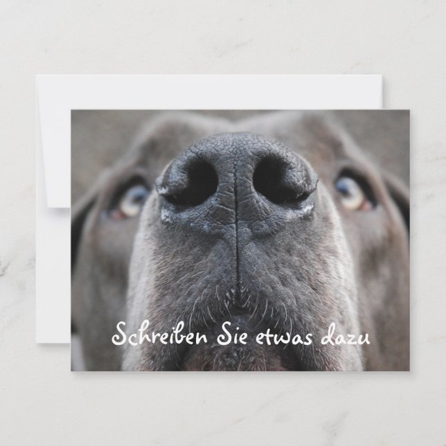 Carte Museau de Dogue (Devant)
