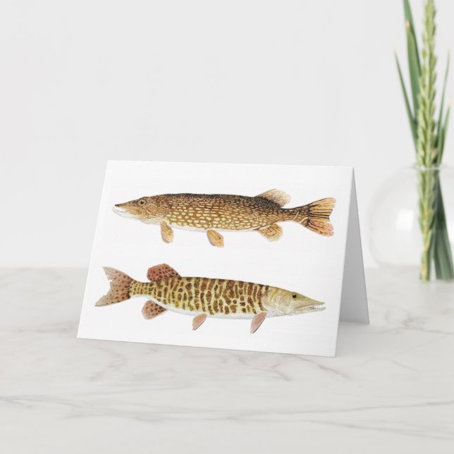 Carte Muskie & Pike (Devant)