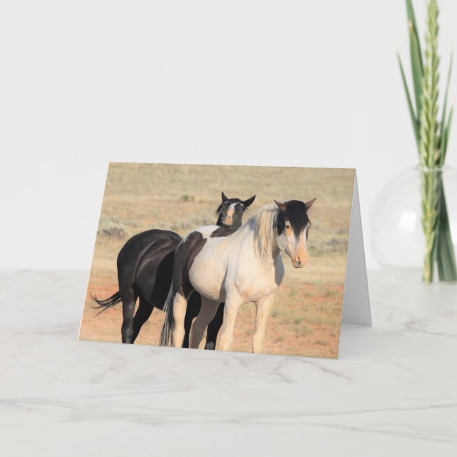 Carte Mustangs sauvages de l'Occident (Devant)