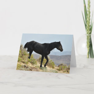 Carte Mustangs sauvages de l'Occident