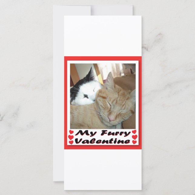 Carte My Furry Valentine (Devant)