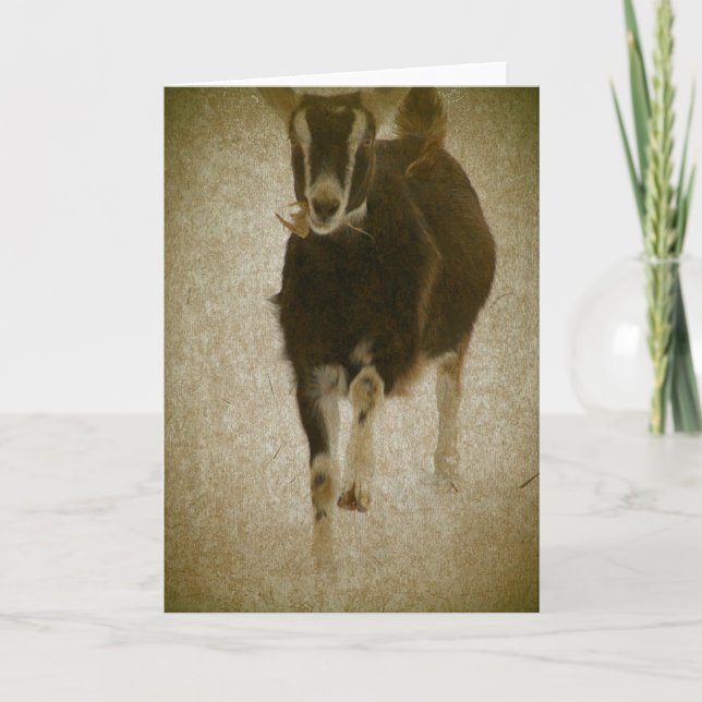 Carte My Misha (Devant)