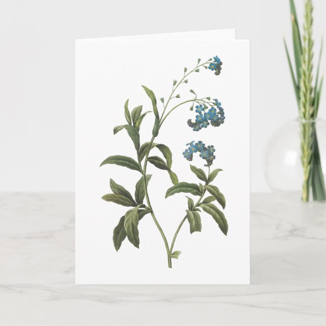Carte myosotis (scorpioides de Myosotis) par Redouté (Devant)