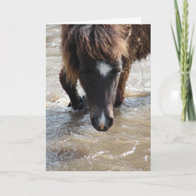 Carte Nager Cheval Anniversaire (Devant)