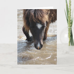 Carte Nager Cheval Anniversaire