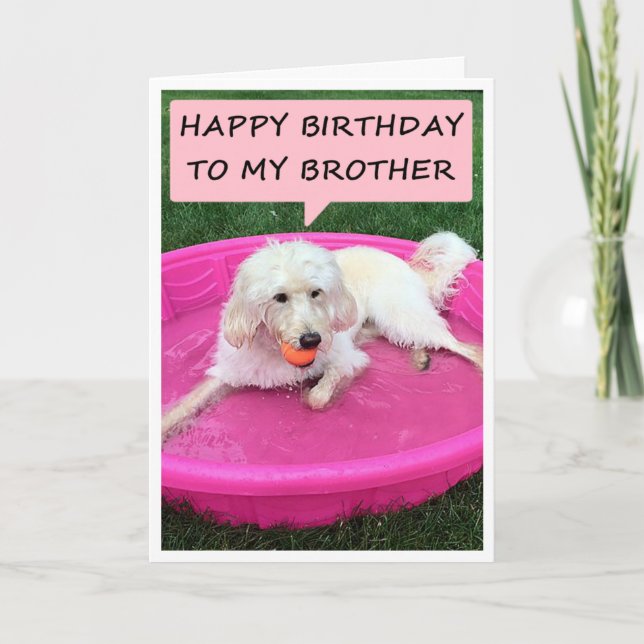 CARTE NAGER CHIEN AIME BROTHER/BEST AMI ANNIVERSAIRE (Devant)