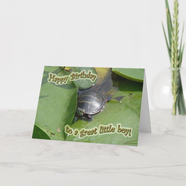 Carte Naissance de la tortue peinte pour bébé (Devant)