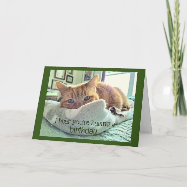 Carte Naps de chats d'anniversaire (Devant)