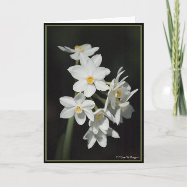 Carte Narcisse de Paperwhite (Devant)