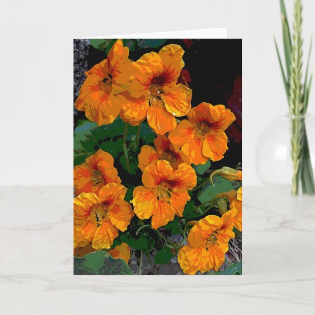 Carte Nasturtium (Devant)