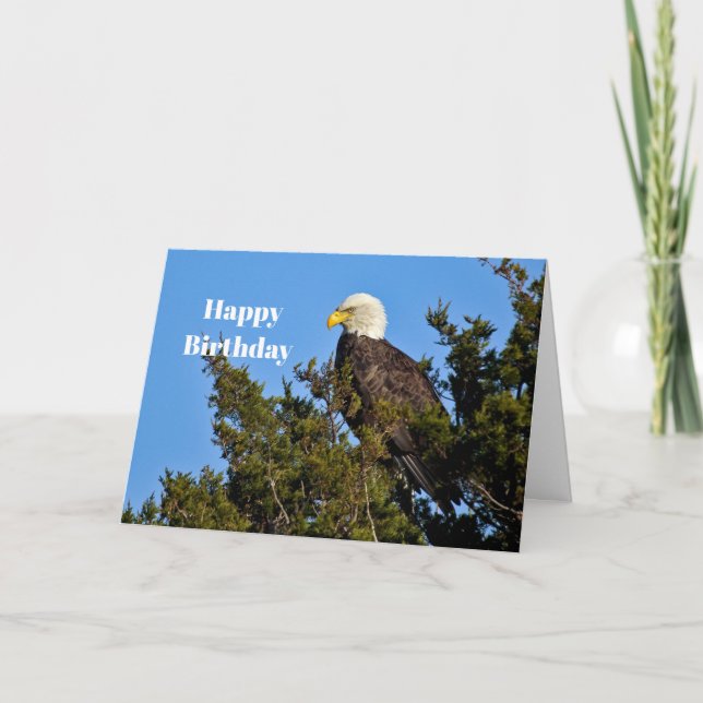 Carte Nature Bald Eagle Faune Photo Anniversaire (Devant)
