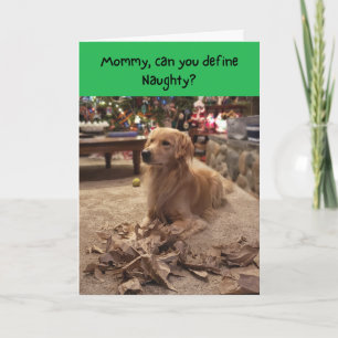 Carte Naughty Golden Retriever Shredever Papier Noël