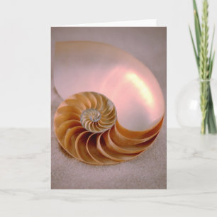 Carte Nautilus chambré