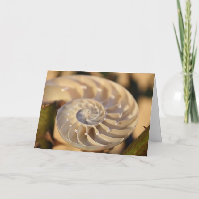 Carte Nautilus Chamnuméroté (Devant)
