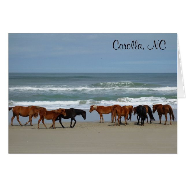 Carte NC Corolla Wild Horses (Devant horizontal)
