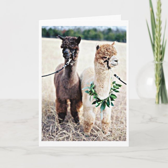 Carte NE CROYEZ PAS QUE VOUS CÉLÉBREZ "40ème" ANNIVERSAI (Devant)