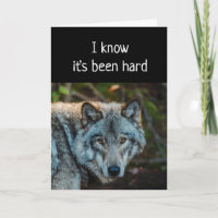 Ne pas regarder en arrière Citation motivationnell