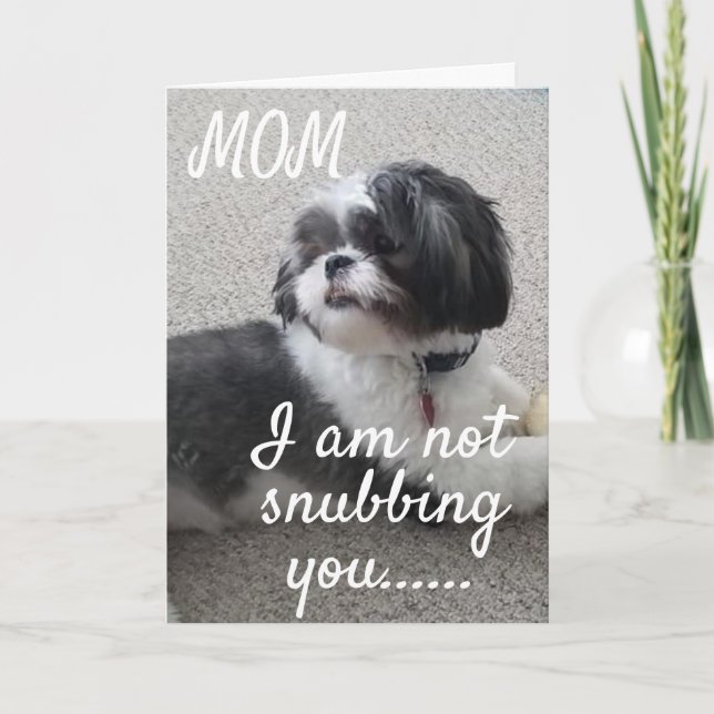 CARTE **NE PAS VOUS NUBER MÈRE MAIS VOUS SOUHAITER ANNIV (Devant)