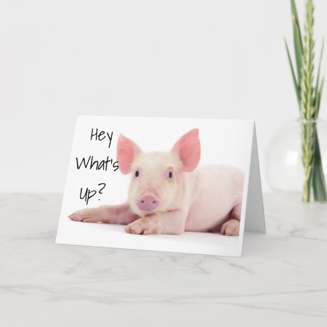 CARTE NE VOUS INQUIÉTEZ PAS CONSEILLE PIG "60" N'EST PAS (Devant)