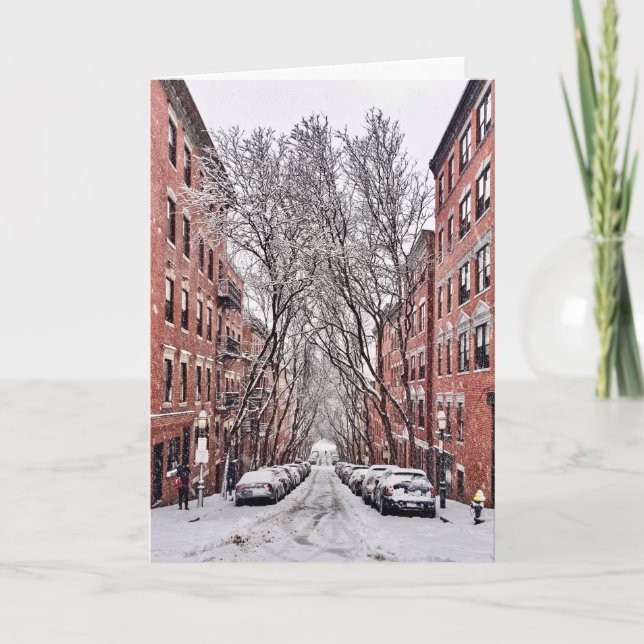 Carte Neige de Boston Beacon Hill (Devant)