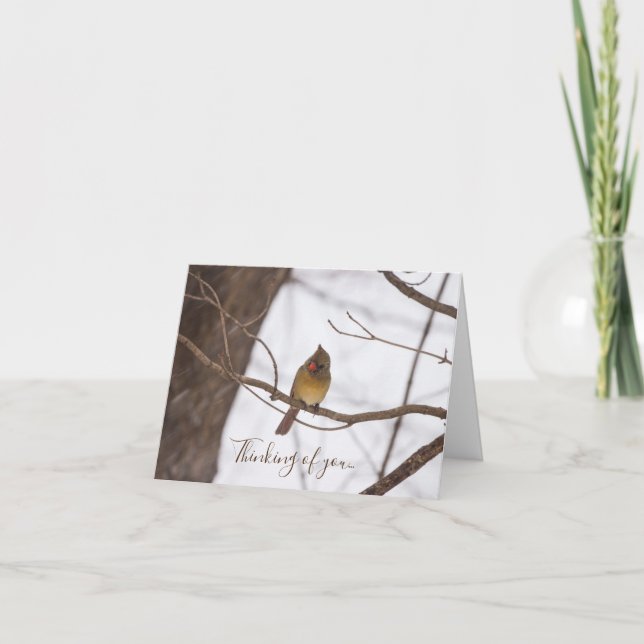 Carte Neige Dit À Nouveau Mme Le Cardinal Qui Pense À Vo (Devant)