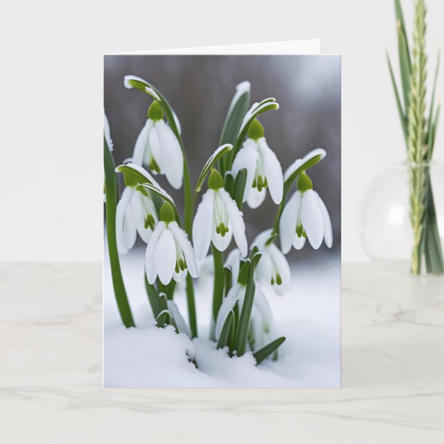 Carte Neige en neige pour l'anniversaire (Devant)