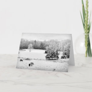Carte Neige fraîche tombée au ranch du cheval