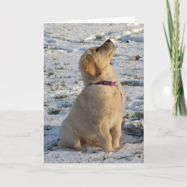 Carte Neige Golden Pup (Devant)